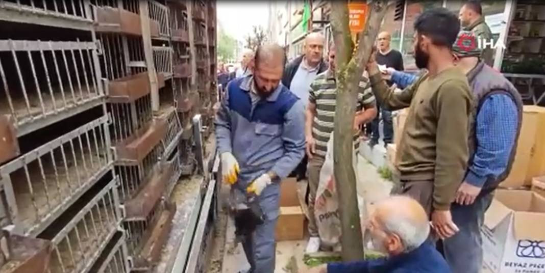 Tavuğun fiyatını duyan çiftçi soluğu kuyrukta aldı - Resim: 5